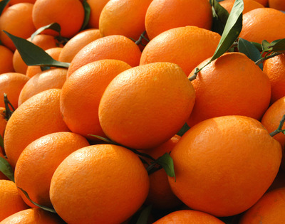 奉节脐橙 根植三峡沃土，品味“根号二”般甘甜的珍品